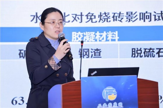 第八届京津冀工业固废高层论坛在京落幕：共筑绿色发展新格局，培育新质生产力